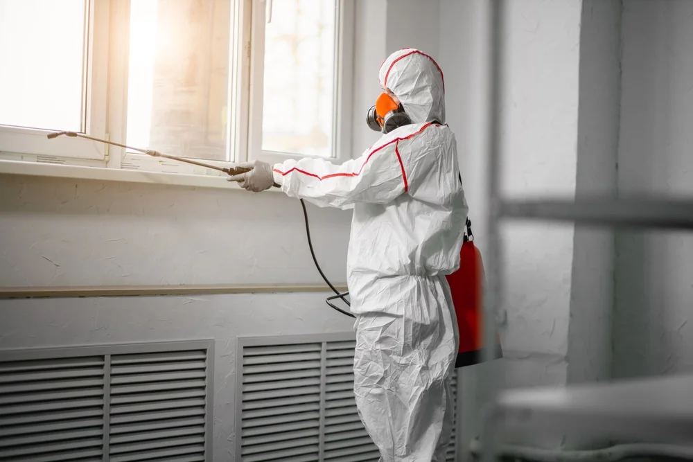 Professional mold remediation services in Peck, MI